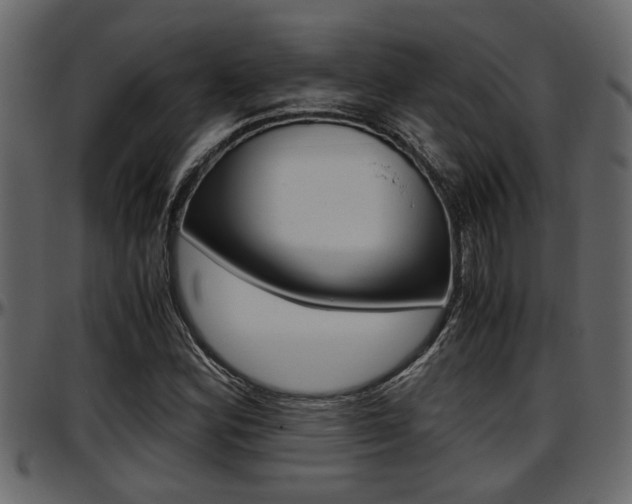 X0000097601164200802290725