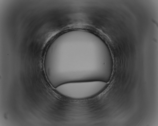 X0000097601166200802290724