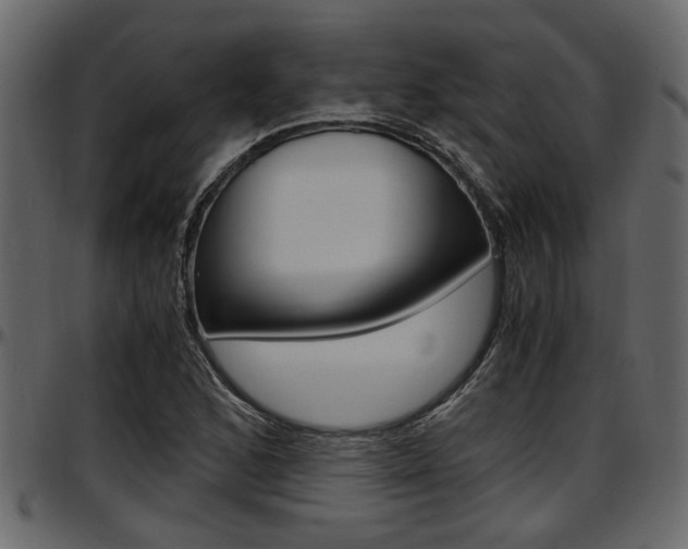 X0000097601168200802290724