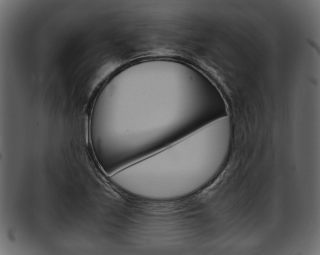 X0000097601171200802290724