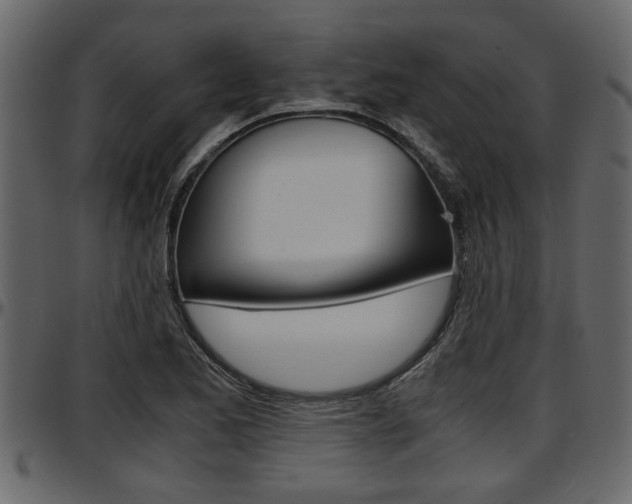 X0000097601173200802290724