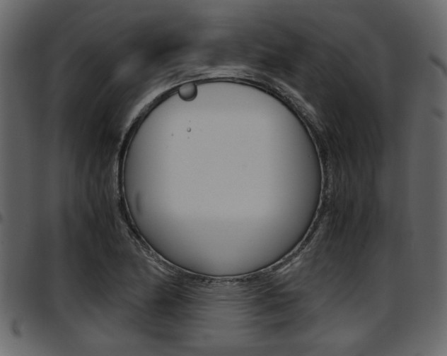 X0000097601174200802290724
