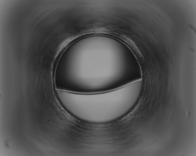 X0000097601176200802290724