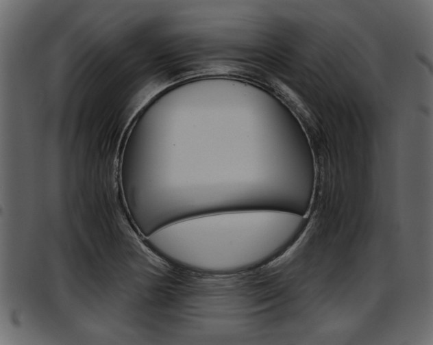 X0000097601178200802290724