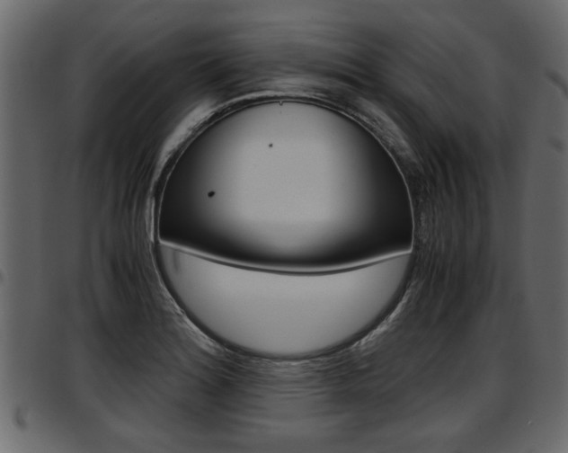 X0000097601180200802290724