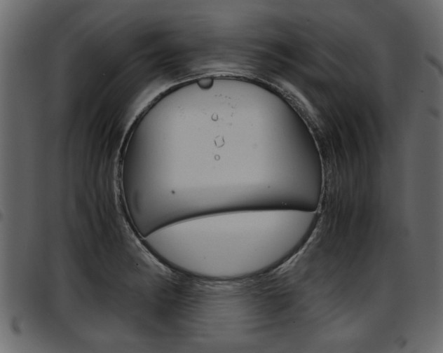 X0000097601182200802290724