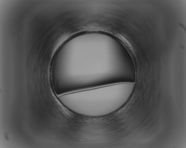 X0000097601183200802290724