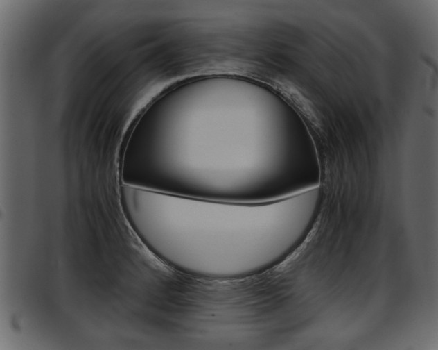 X0000097601184200802290724