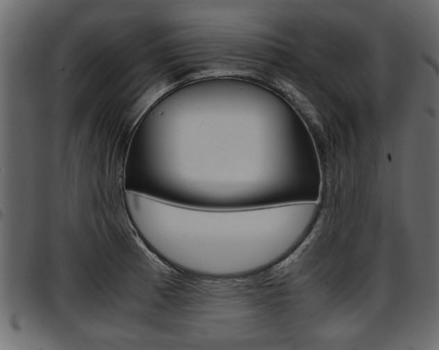 X0000097601185200802290724