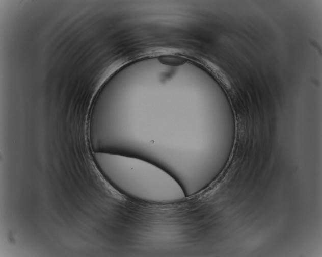 X0000097601186200802290724
