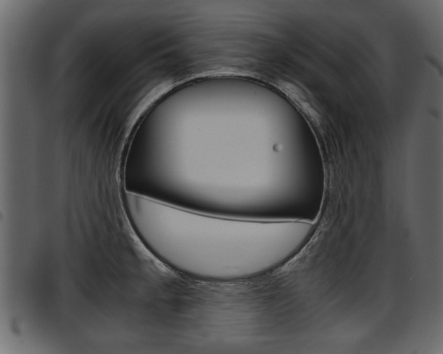 X0000097601189200802290724