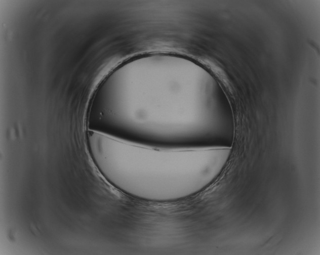 X0000097601191200802290724