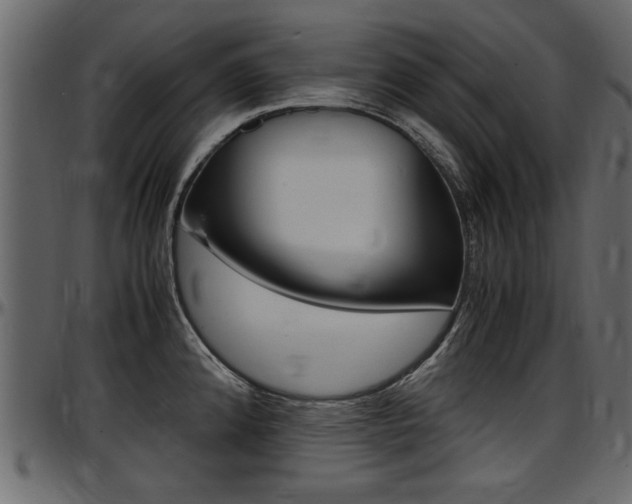 X0000097601192200802290724