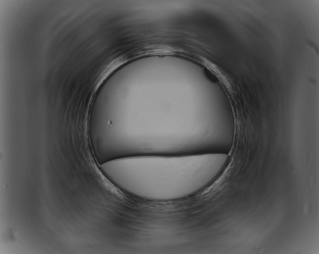 X0000097601194200802290724