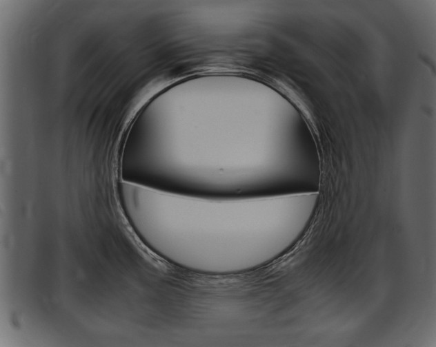 X0000097601195200802290724