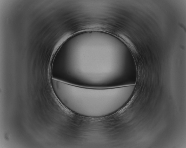 X0000097601196200802290724
