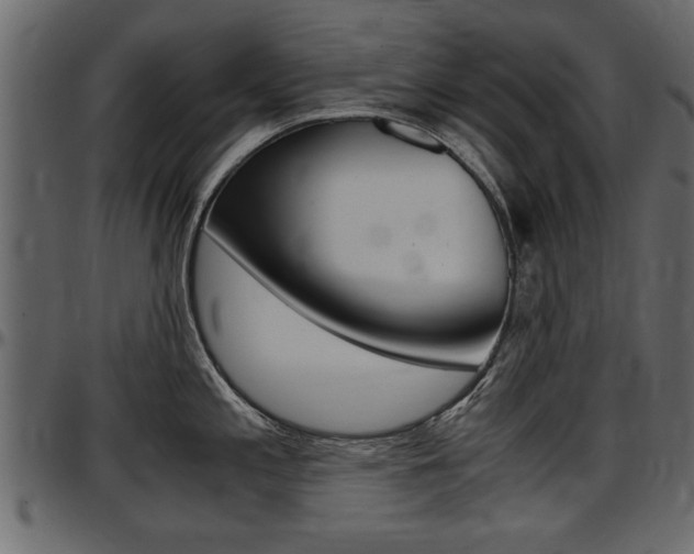 X0000097601197200802290724