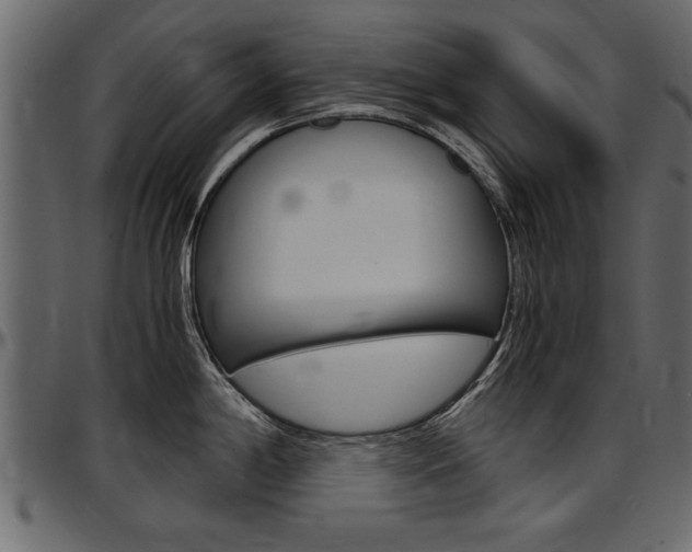 X0000097601198200802290724