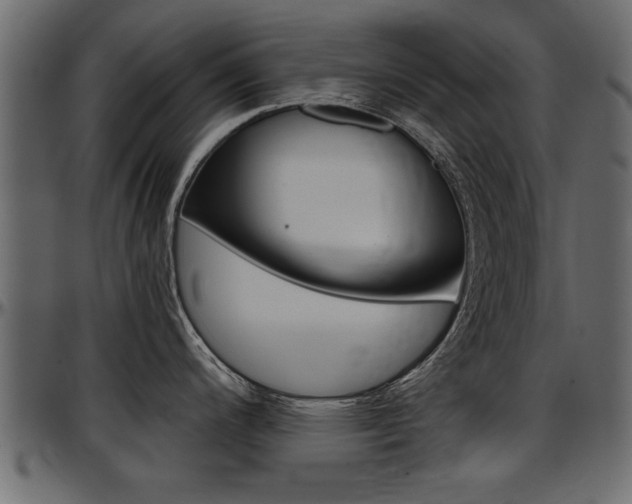 X0000097601200200802290724
