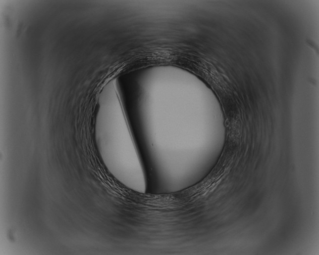 X0000097601201200802290723