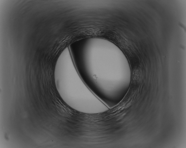 X0000097601202200802290723