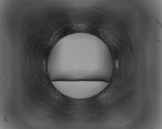 X0000097601203200802290723