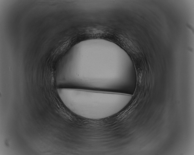 X0000097601204200802290723
