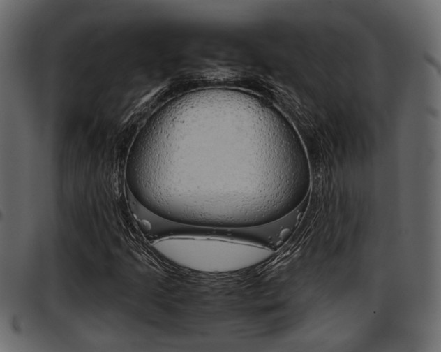X0000097601205200802290723