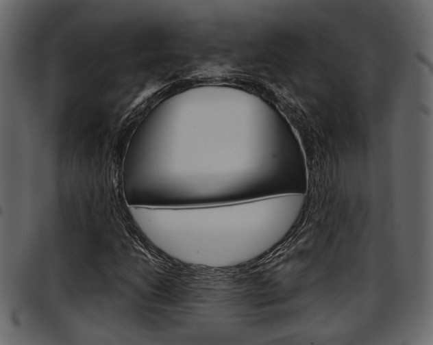 X0000097601206200802290723