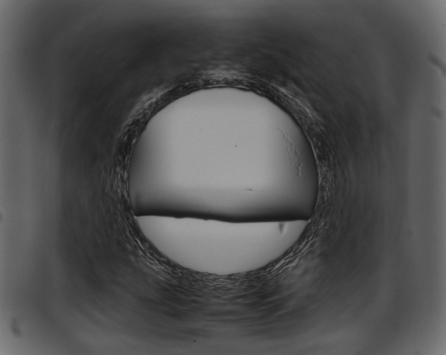 X0000097601207200802290723