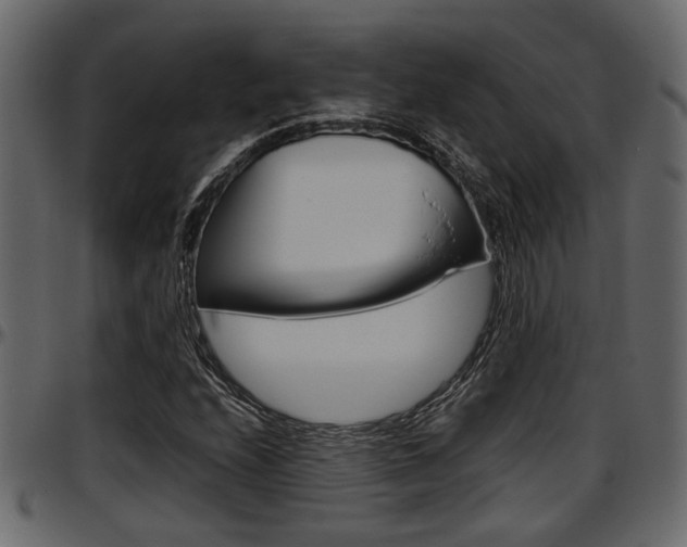 X0000097601208200802290723