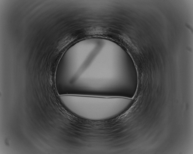 X0000097601209200802290723