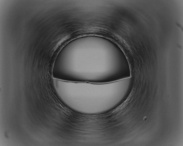 X0000097601210200802290723