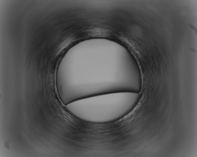 X0000097601211200802290723