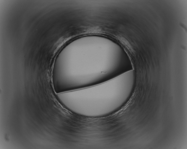 X0000097601212200802290723