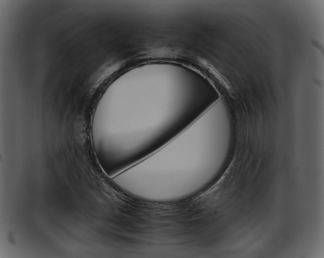 X0000097601213200802290723