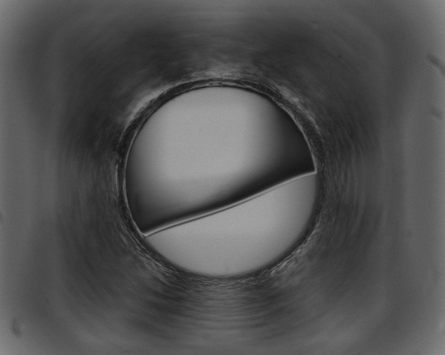 X0000097601214200802290723