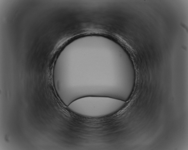 X0000097601215200802290723