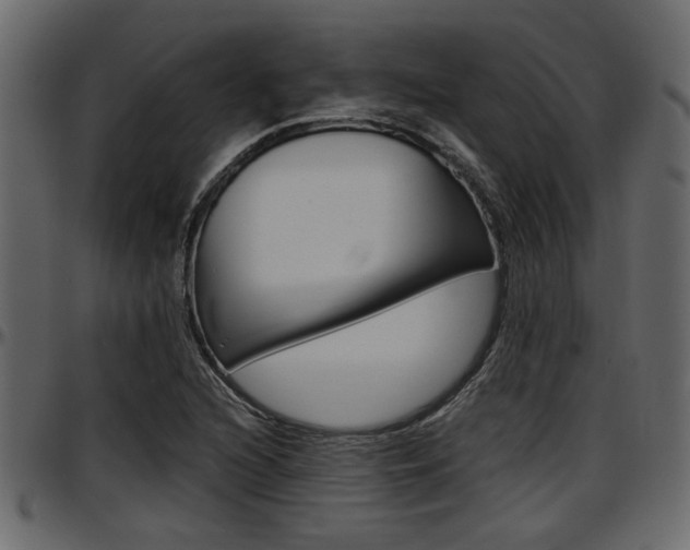 X0000097601216200802290723