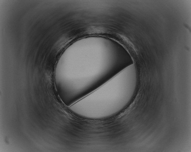 X0000097601217200802290723