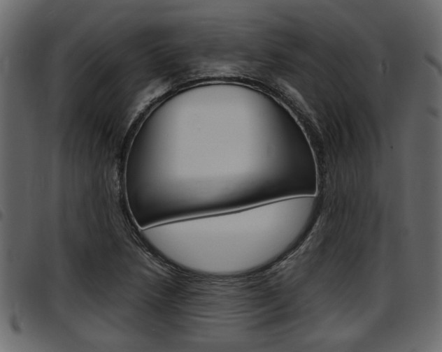 X0000097601218200802290723