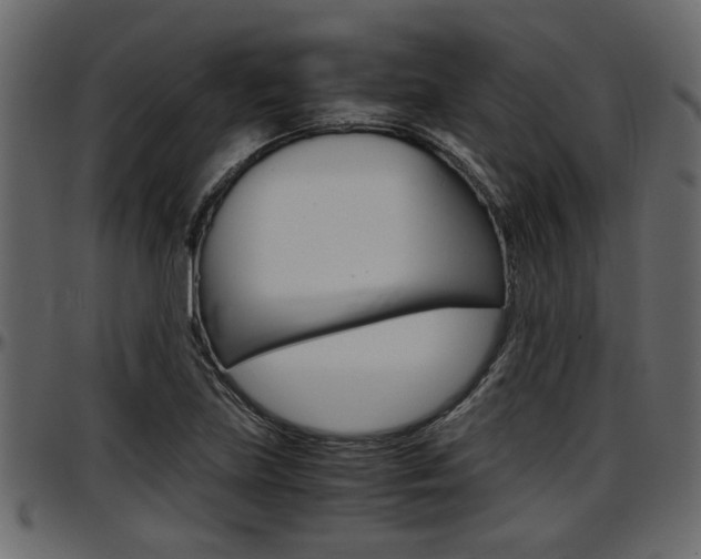 X0000097601219200802290723