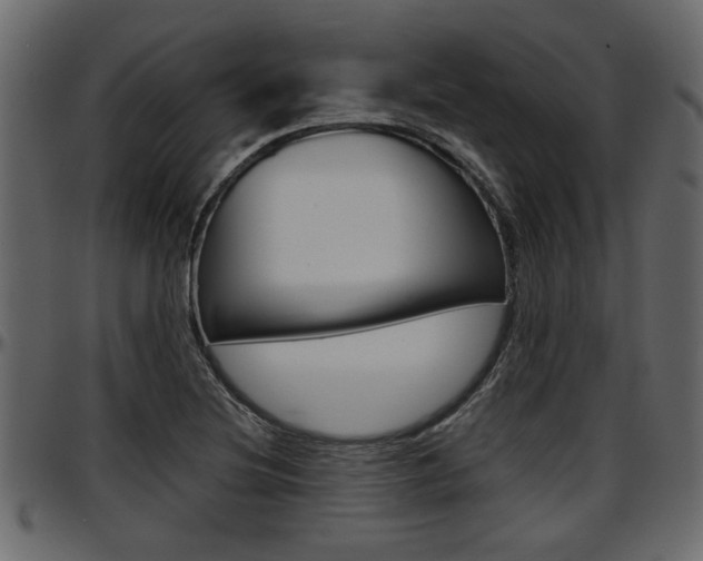 X0000097601220200802290723