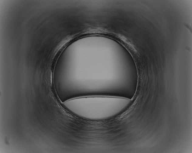 X0000097601221200802290723