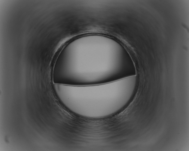 X0000097601222200802290723