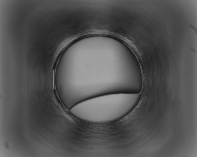 X0000097601223200802290723