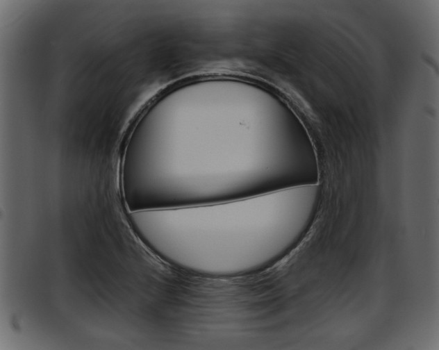 X0000097601224200802290723
