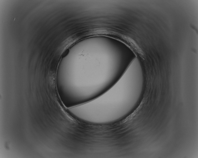X0000097601225200802290723