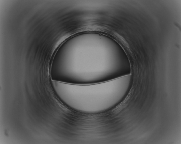 X0000097601226200802290724