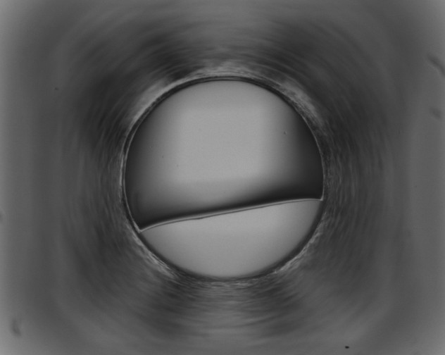 X0000097601228200802290724
